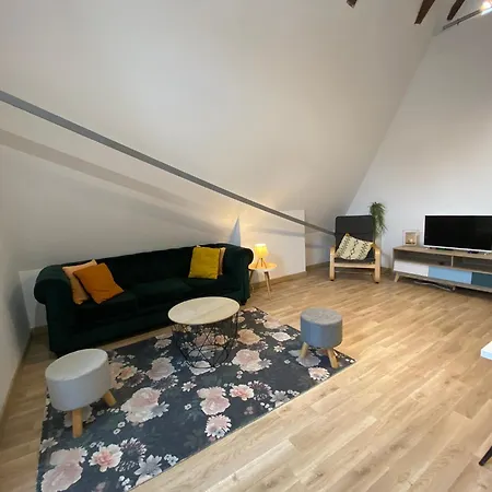 Le Colibri, Spacieux T2 Bis Avec Mezzanine, Clim Mobile, Calme Et Central, Clim Mobile A Appartement Poitiers