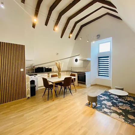 Apartment Le Colibri, Spacieux T2 Bis Avec Mezzanine, Calme Et A Poitiers
