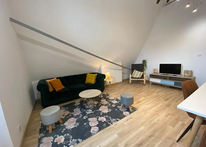 Le Colibri, Spacieux T2 Bis Avec Mezzanine, Calme Et A アパート ポアティエ