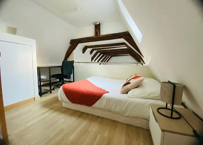 Le Colibri, Spacieux T2 Bis Avec Mezzanine, Calme Et à Poitiers