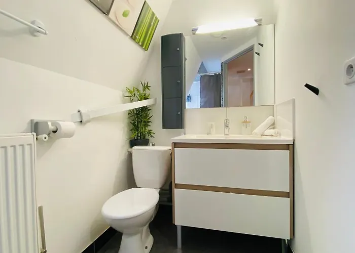 Appartement Le Colibri, Spacieux T2 Bis Avec Mezzanine, Calme Et à Poitiers