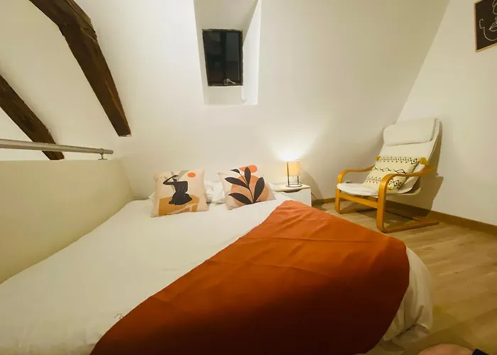 Le Colibri, Spacieux T2 Bis Avec Mezzanine, Calme Et A Apartment Poitiers